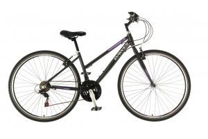 Dawes Discovery Trail Low Step