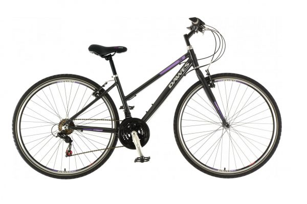 Dawes Discovery Trail Low Step