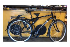 Rayon Horritage 2.0 Trekking Bike