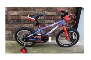 Greenway Master Kids Mountain Bike