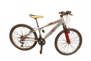 Raleigh Zero G Mountain Bike