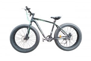 Rayon Big Boy Mountain Bike