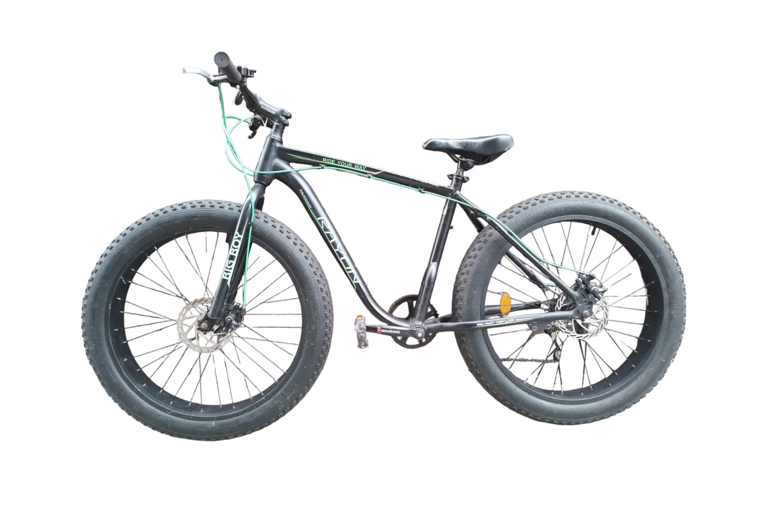 Rayon Big Boy Mountain Bike