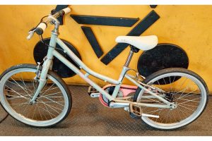 Pandleton Handberry kids Bike