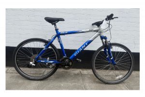 Giant SE2 Mountain Bike