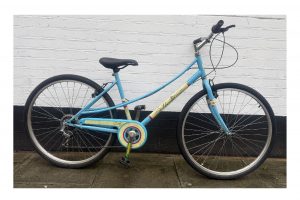 Universal Hybrid Bike