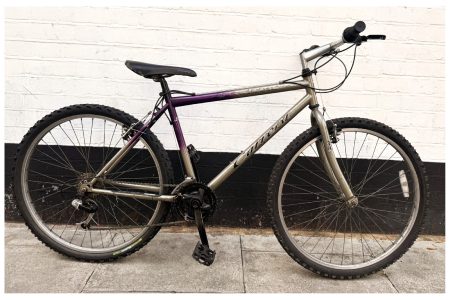 Carrera Gradient Mountain Bike