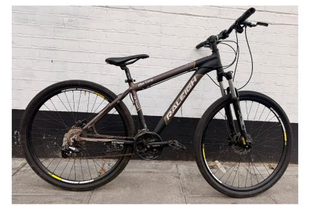 Raleigh Comp Mountain Bike